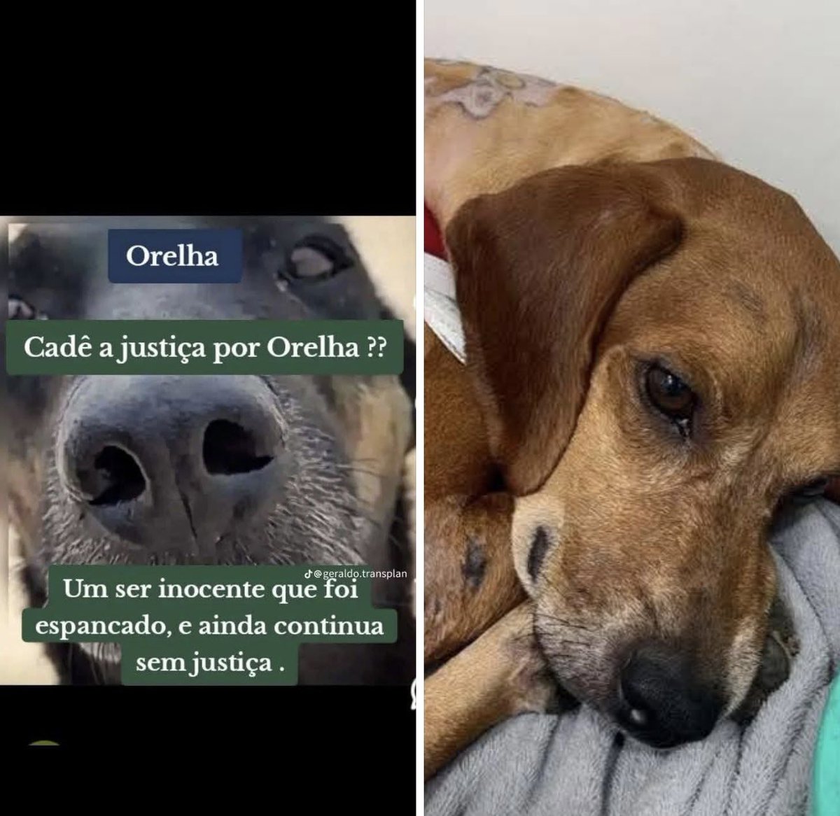 Marco Valverde ® tweet media