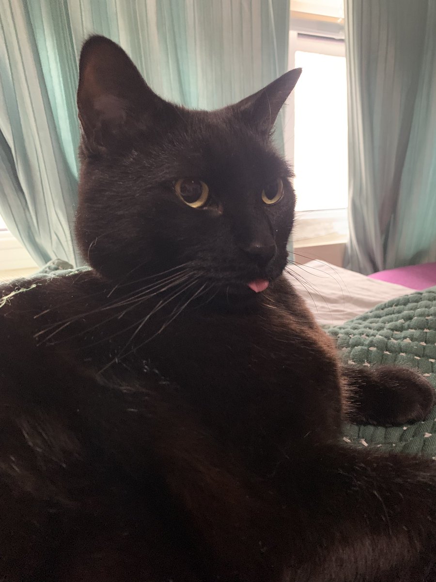 caught him with his tongue out