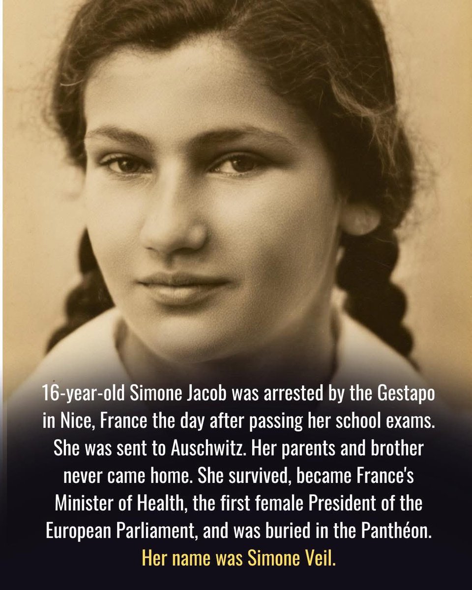 Lioness לביאה 🎗️💙✨🦁🌺 tweet media