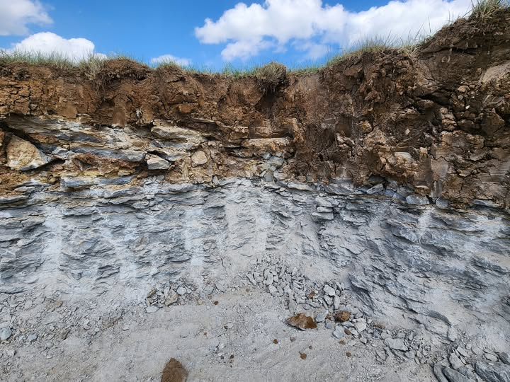 WelbourneStud tweet media