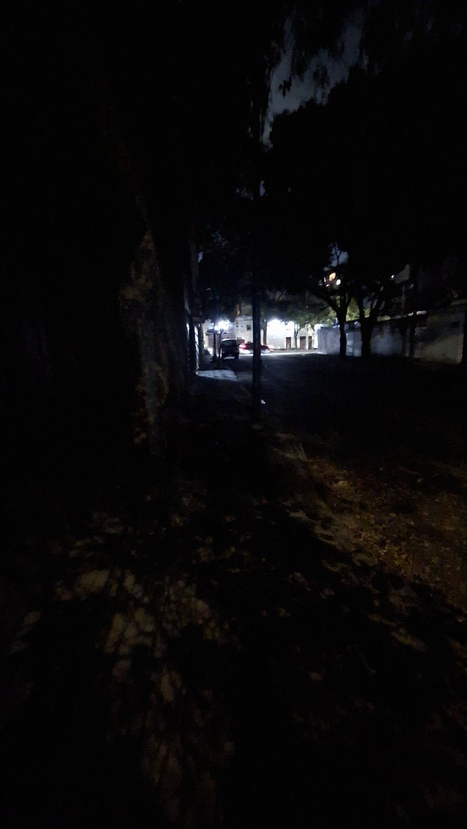 Elsa 😷 tweet media