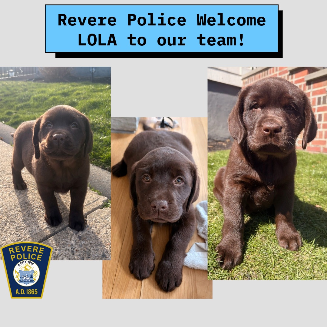 Revere Police tweet media