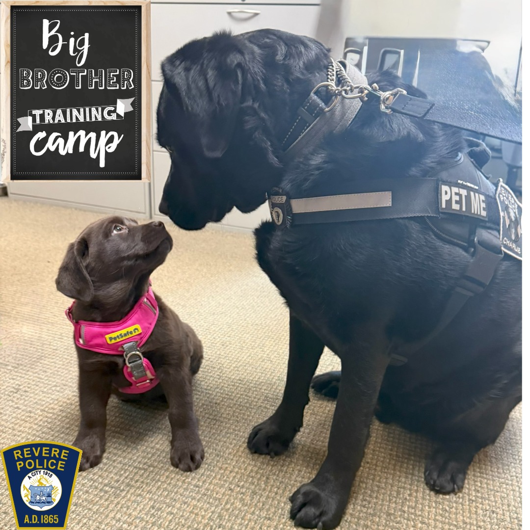 Revere Police tweet media