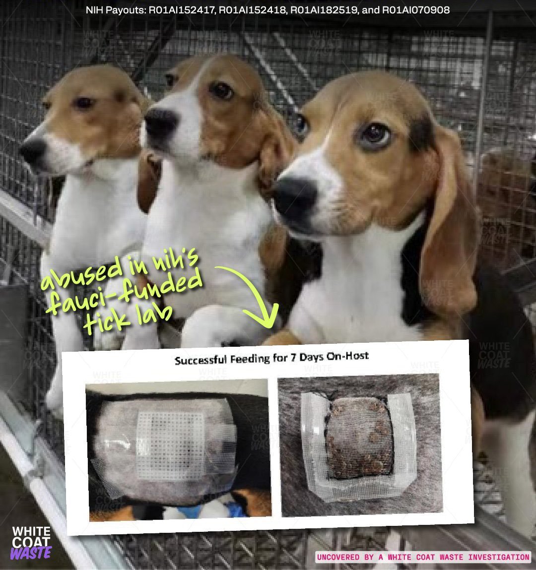 Justin Goodman tweet media