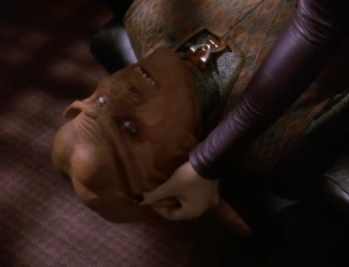 Yaffa the Lesbian Witch🖖 tweet media