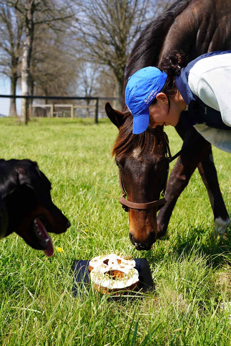 Godolphin tweet media