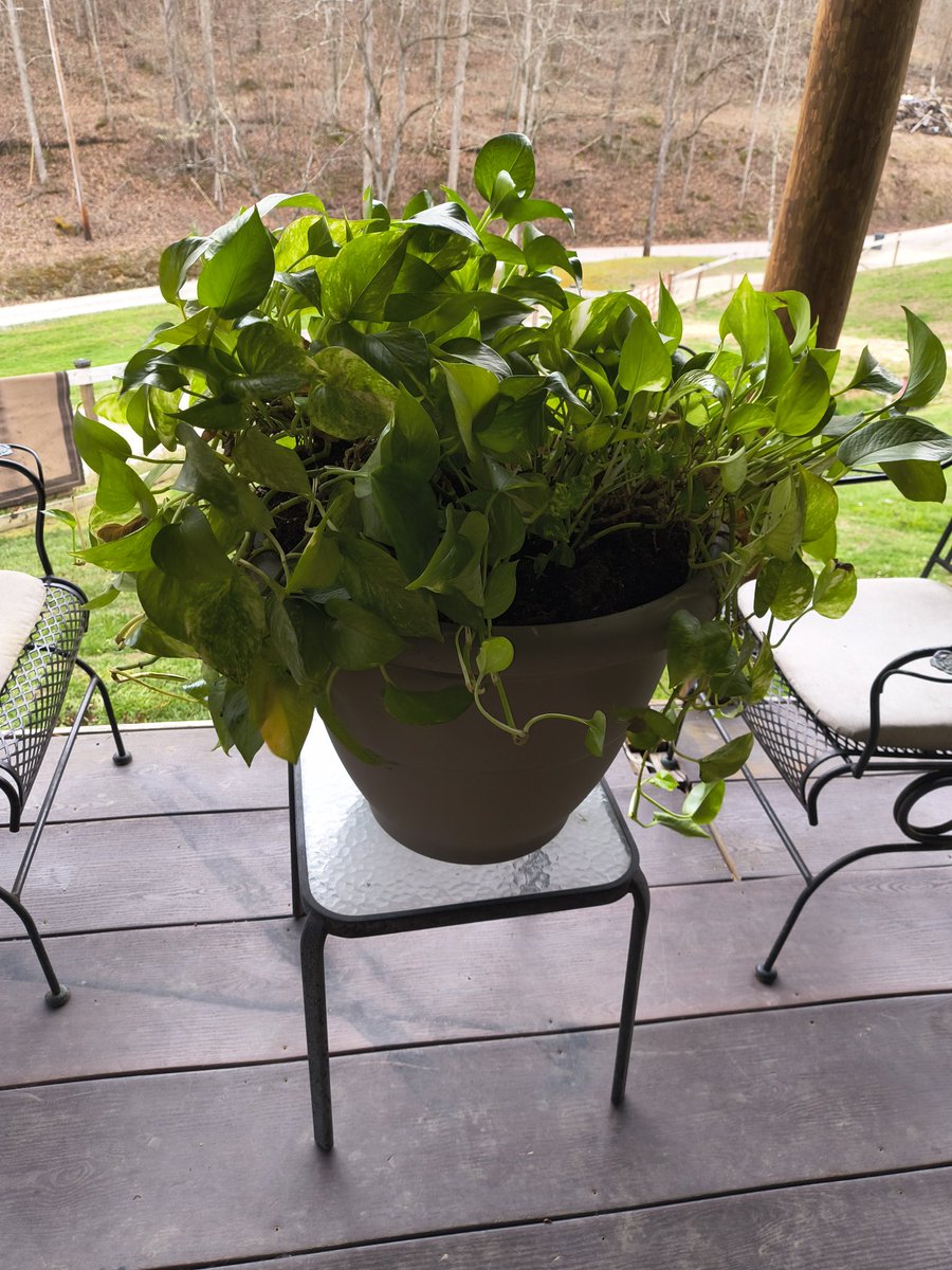 Shannonigans🍀 tweet media