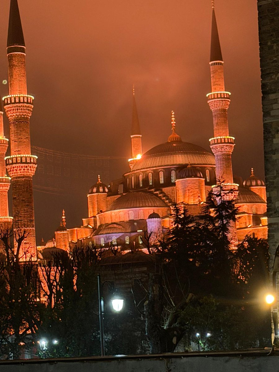 NERVA GALBA tweet media