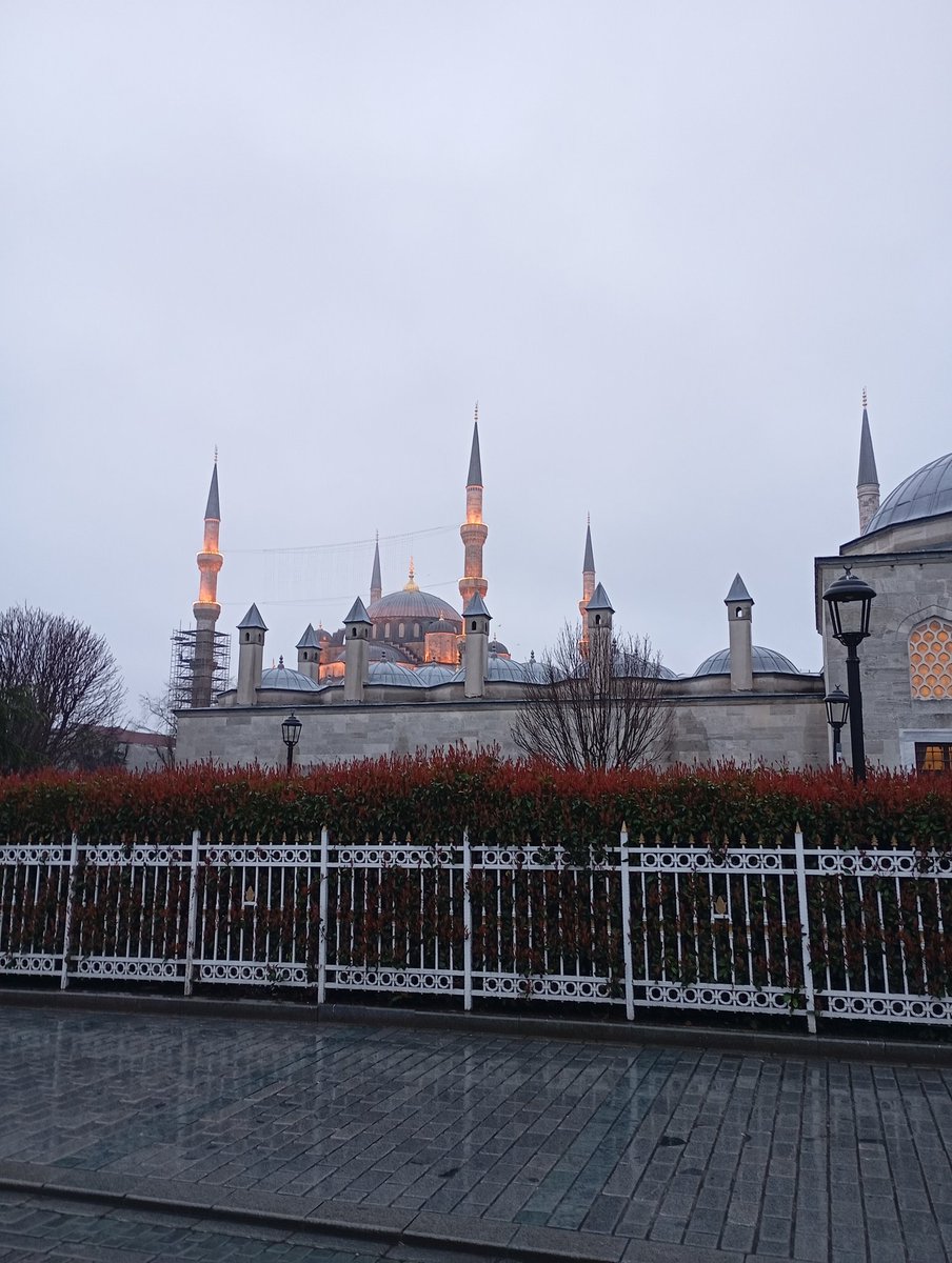 NERVA GALBA tweet media