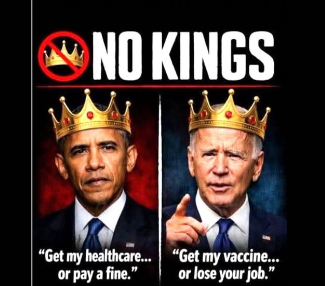 Gypsy Wonder tweet media