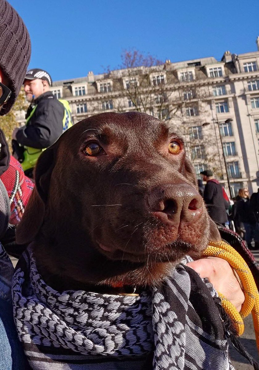 James S. Coates tweet media