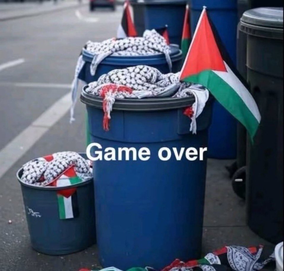 Vivid.🇮🇱 tweet media