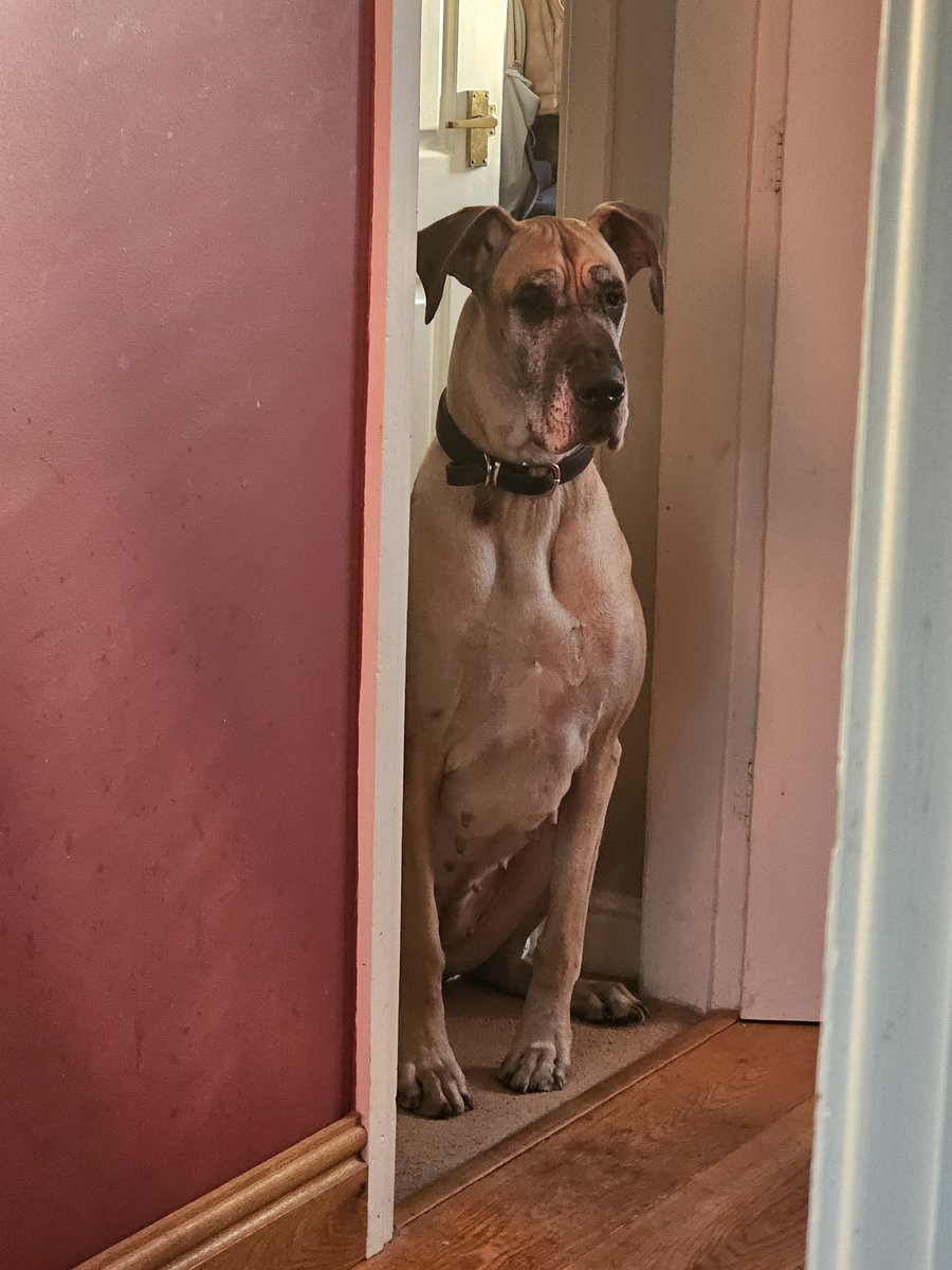 Sally Swaffield tweet media