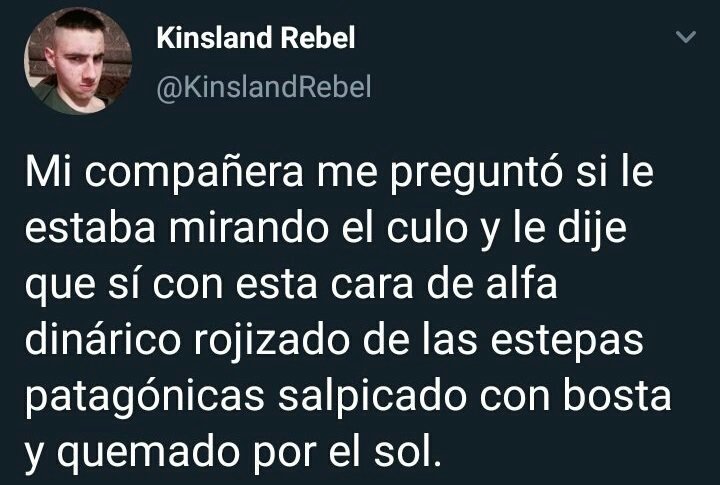 🌊🔆Balearicus🔆🌊 tweet media