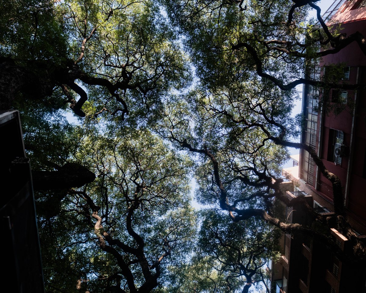 Tommy Christie tweet media