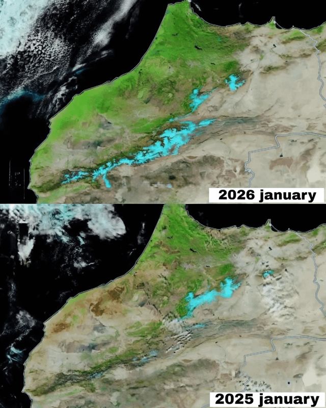 Simon Kuestenmacher tweet media