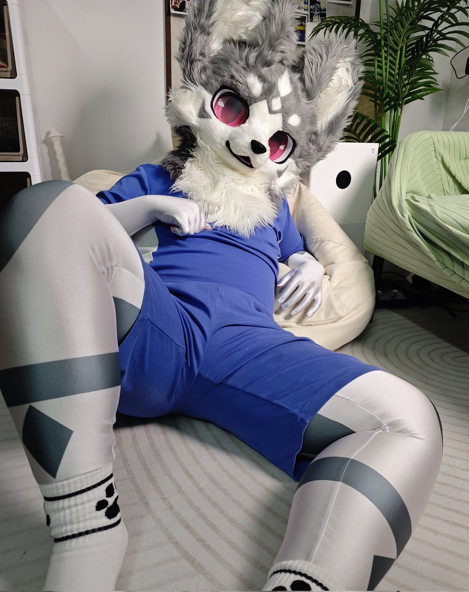 睡觉睡觉~ tweet media