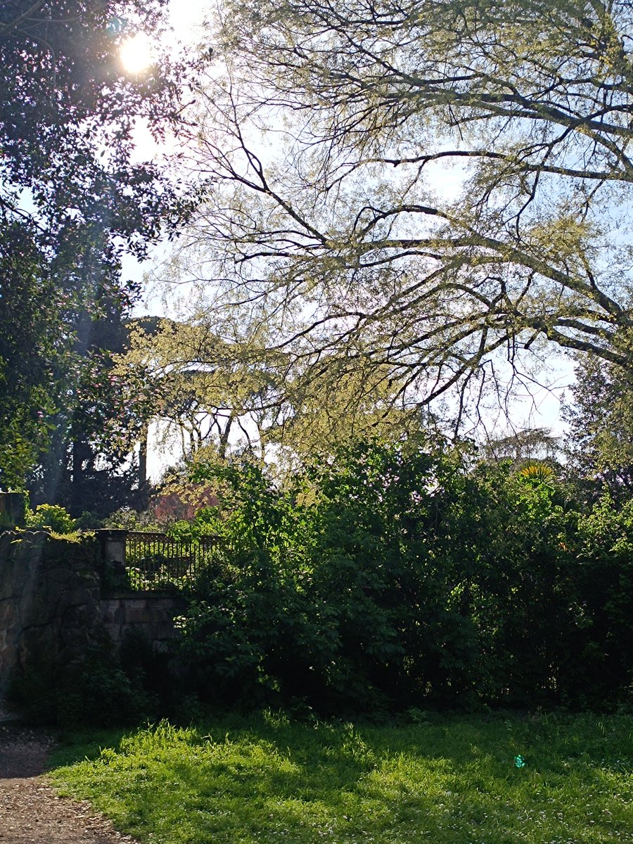 Villa Borghese, salendo verso il Tempio di Esculapio.
