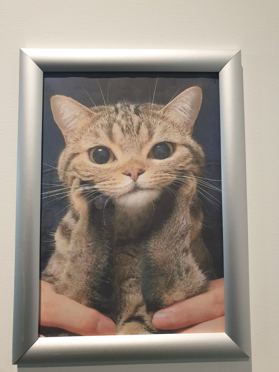 nob 🔻🍉 tweet media