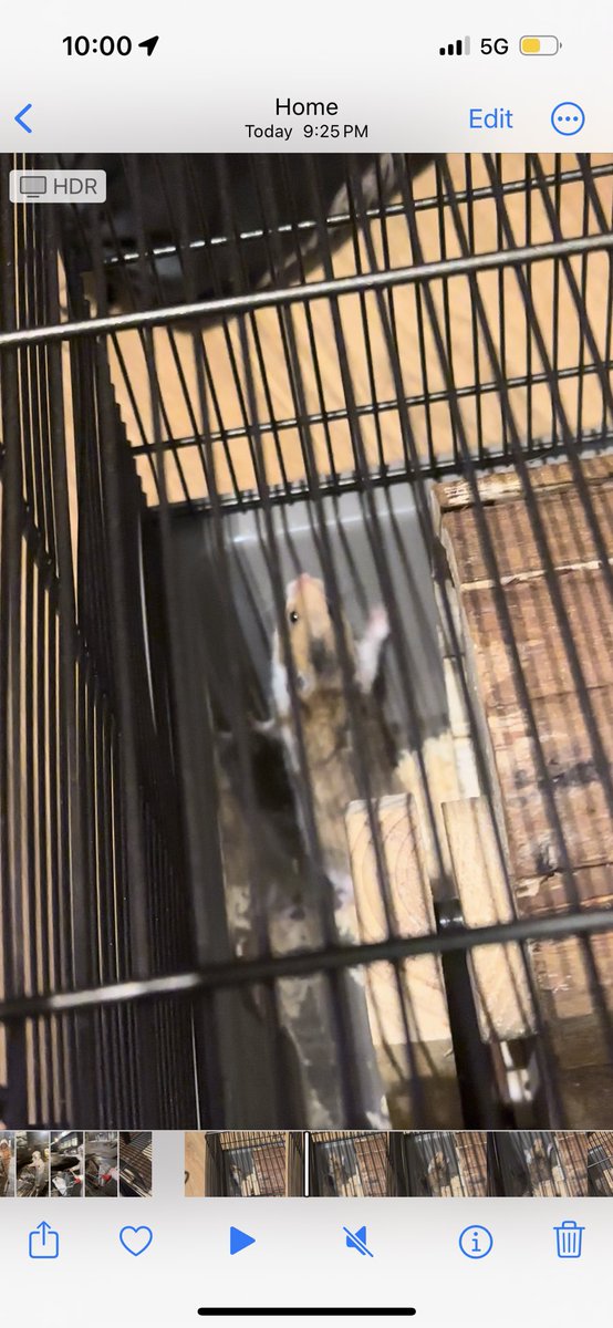 lina ୨ৎ tweet media