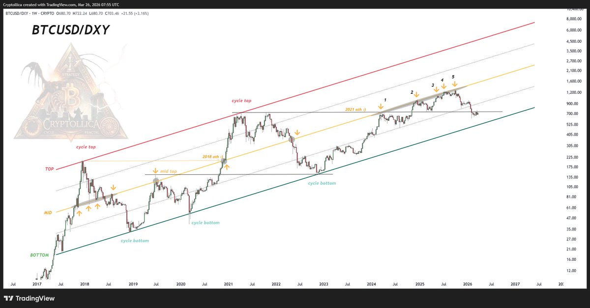 Cryptollica⚡️ tweet media