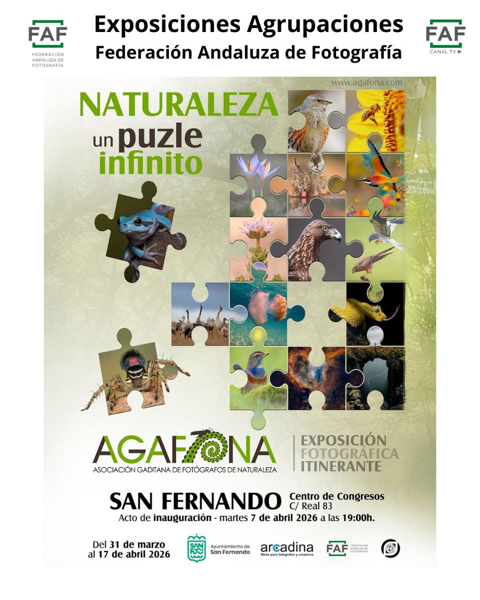 Federación Andaluza de Fotografía -FAF- tweet media