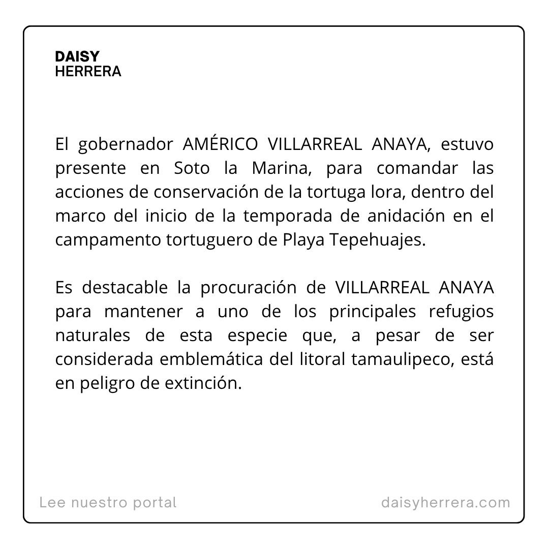 DaisyHerrera.com tweet media