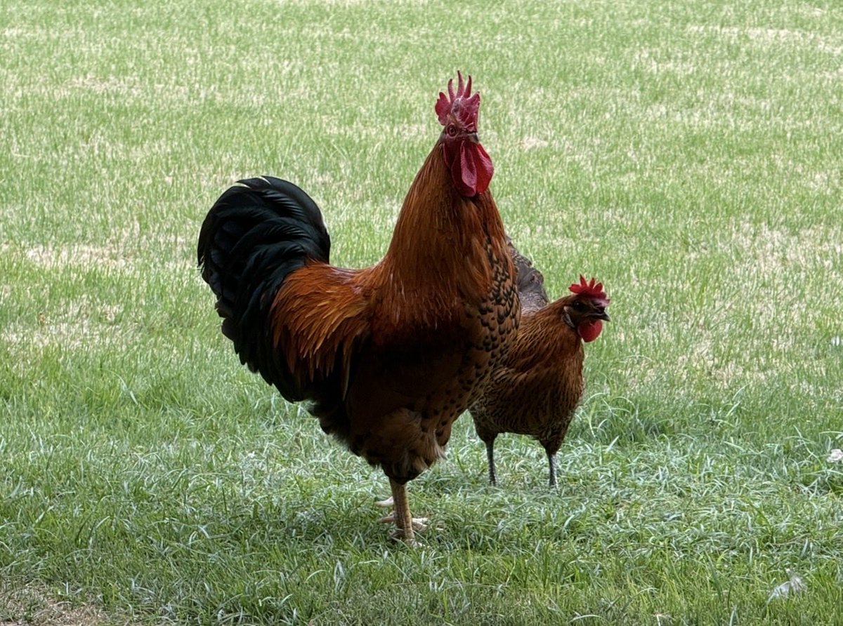 Jason 🇺🇸 tweet media