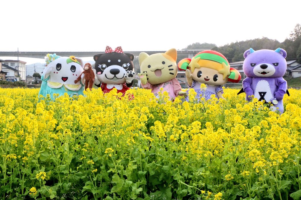 和み柴っこ【公式】 tweet media