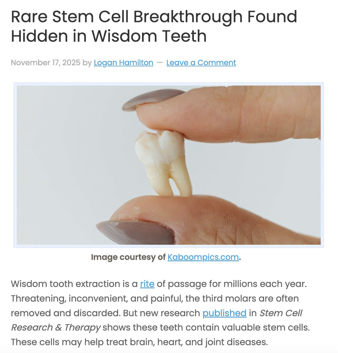 Carnivore Aurelius ©🥩 ☀️🦙 tweet media