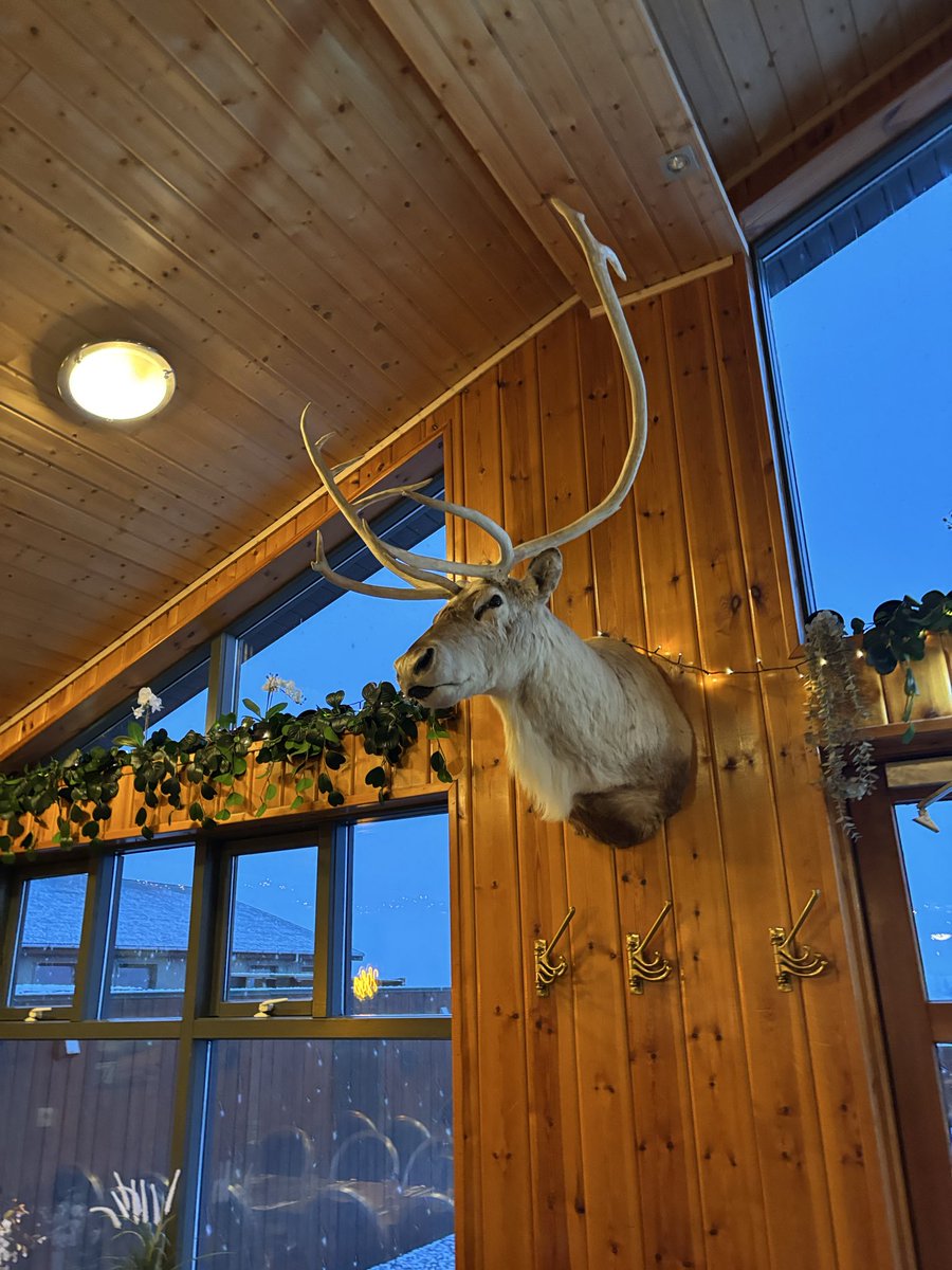 WyHighGeography tweet media