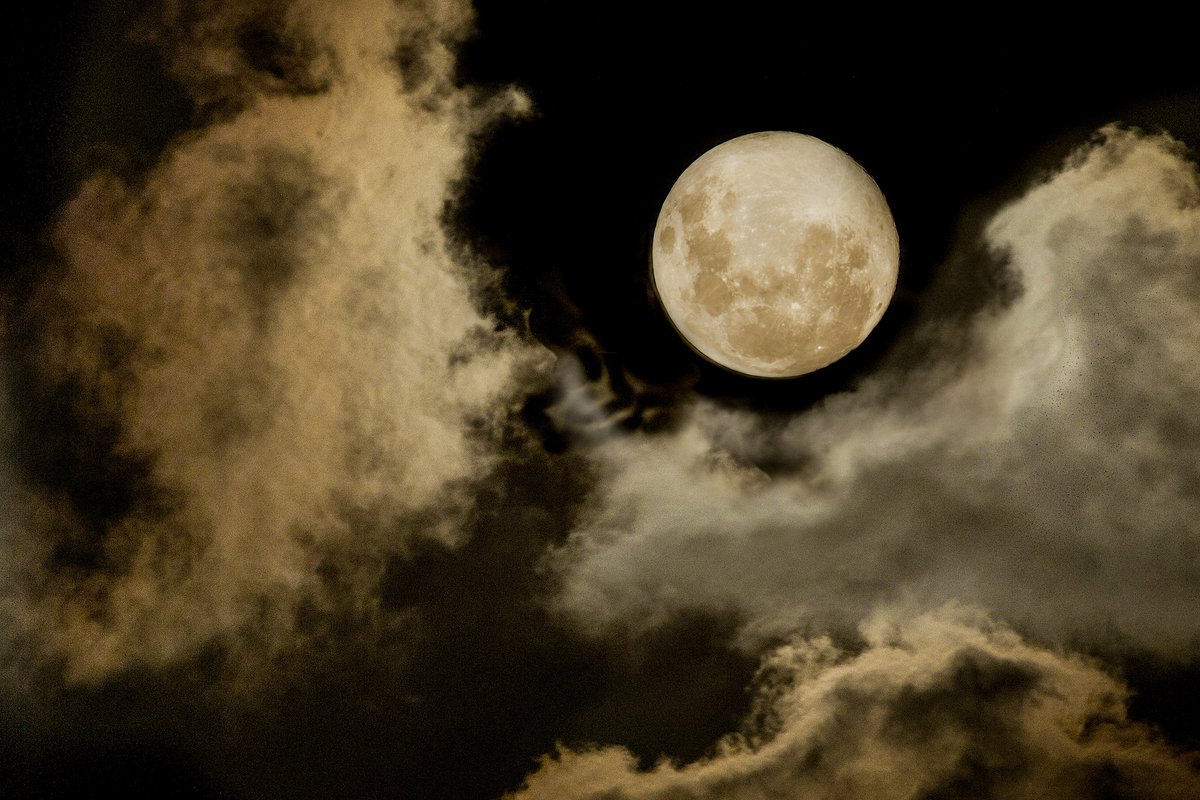 Photography Tricks and Tips tweet media