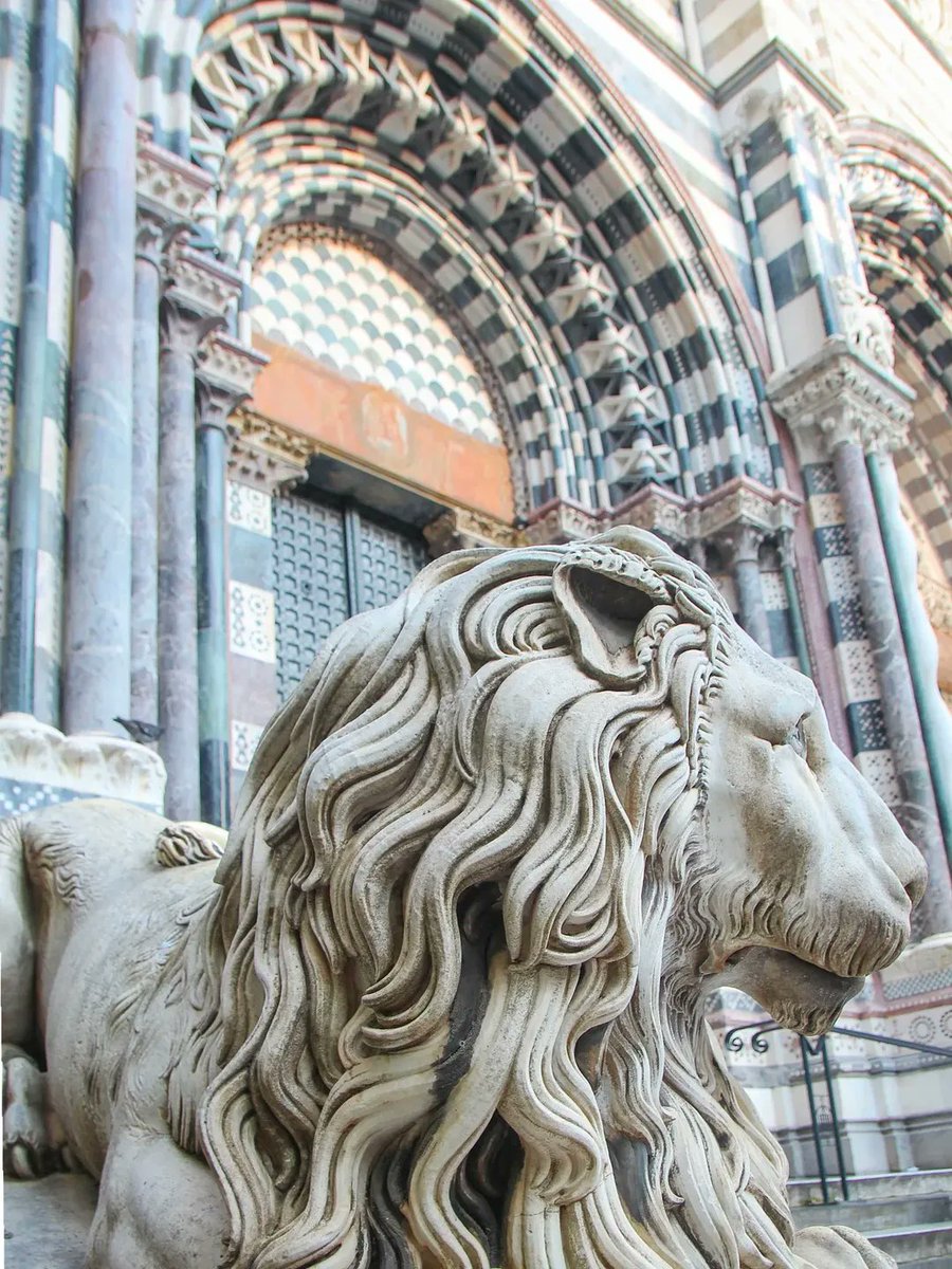 Alp - 𐰞𐰯 tweet media