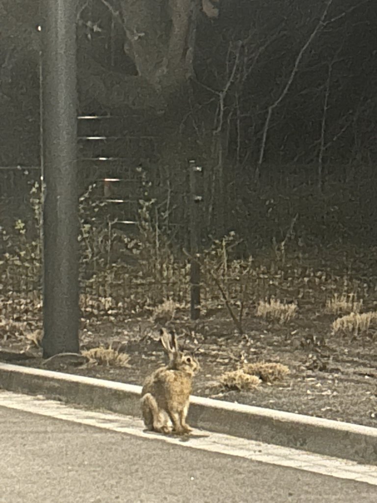 kris_kiparris's tweet image. Every workout is for the sake of the great Connor and the wonderful Hudson or a bit of reality #real #holidays