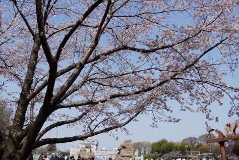 murf $punch tweet media