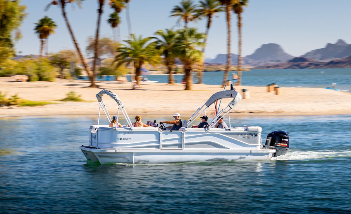 Go Lake Havasu tweet media