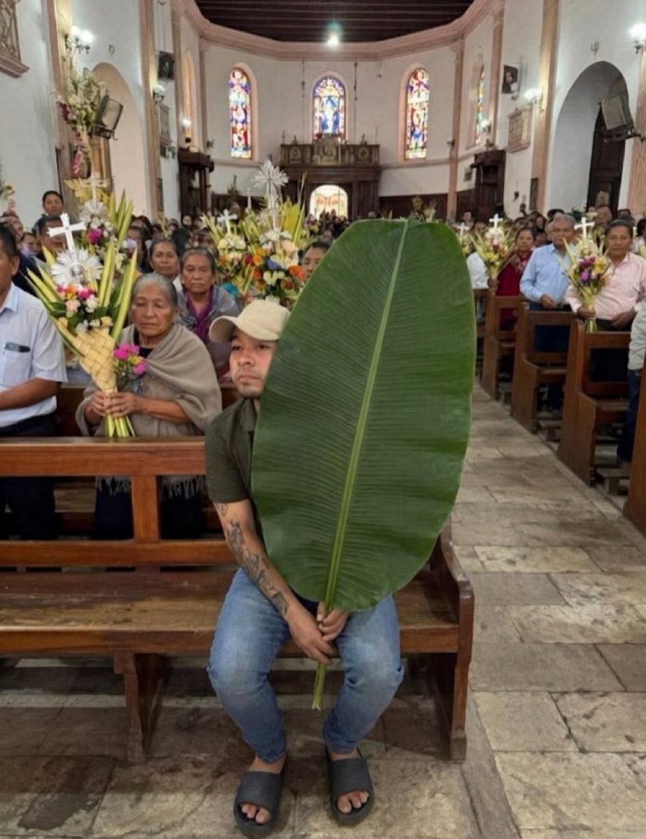 Dr Taylor Marshall™️ tweet media