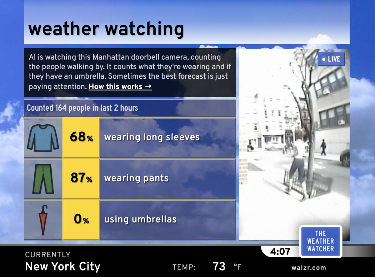 Riley Walz tweet media