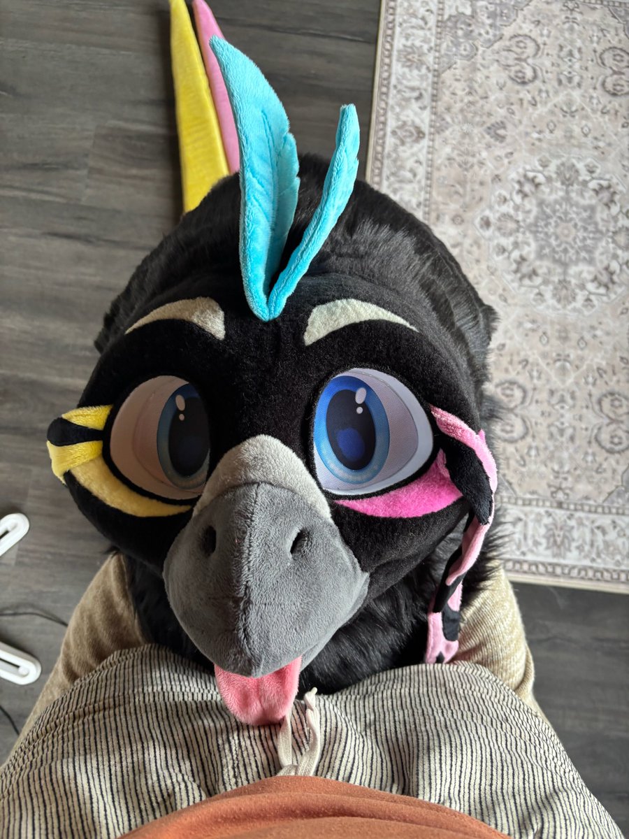 This silly birdie keeps thinking he’s a woodpecker 

<a href="/GemelliPog/">Gemelli (bird)</a>