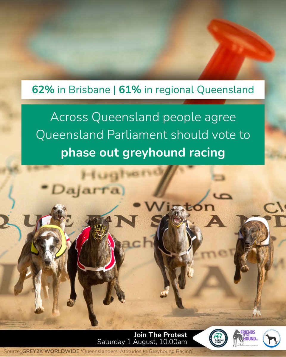 AnimalKIND tweet media