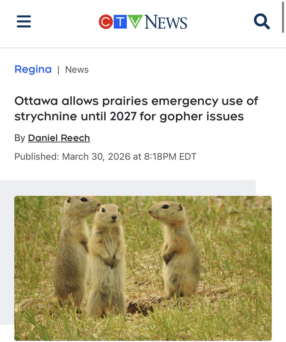 David Bexte tweet media