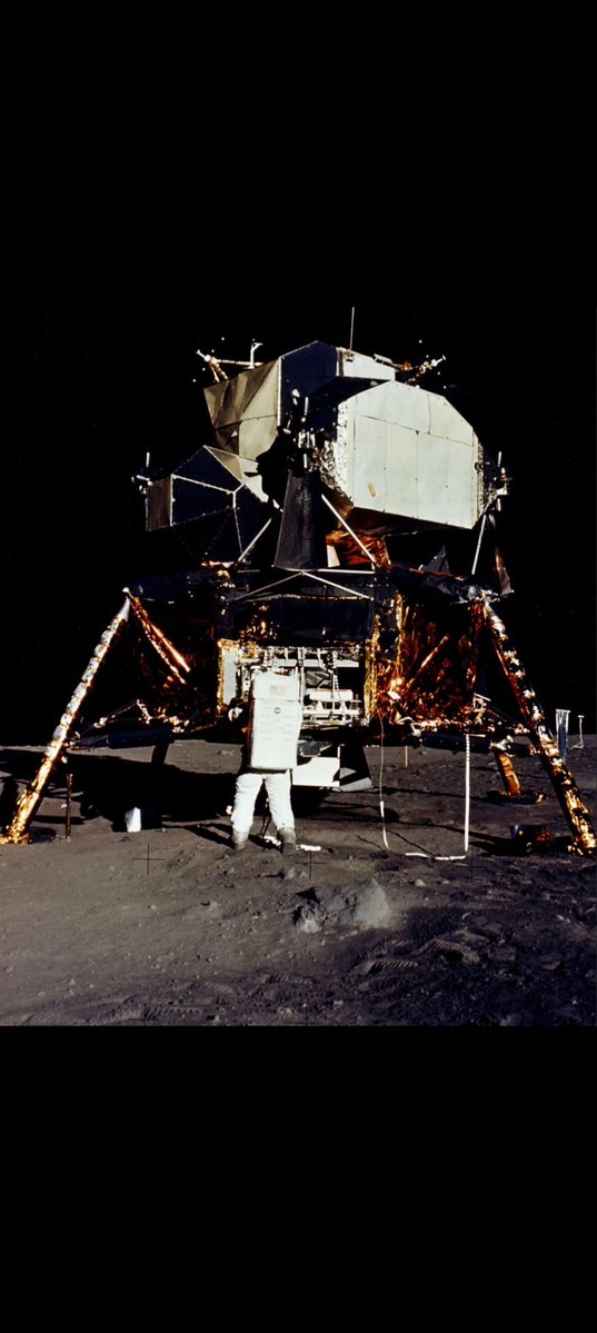 Player4life tweet media