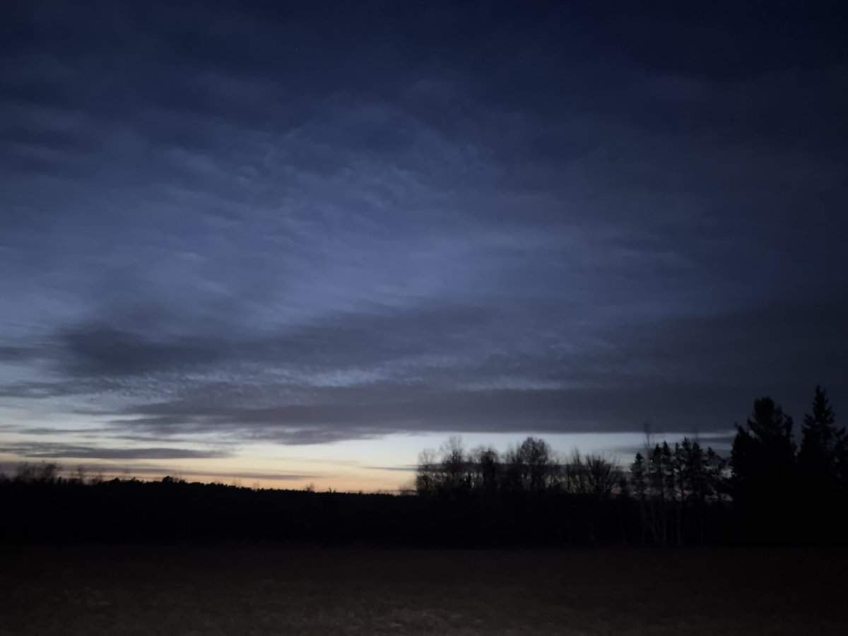 SinBears Deep Dark tweet media