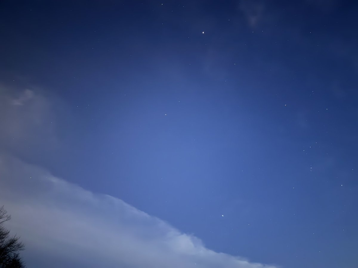 SinBears Deep Dark tweet media