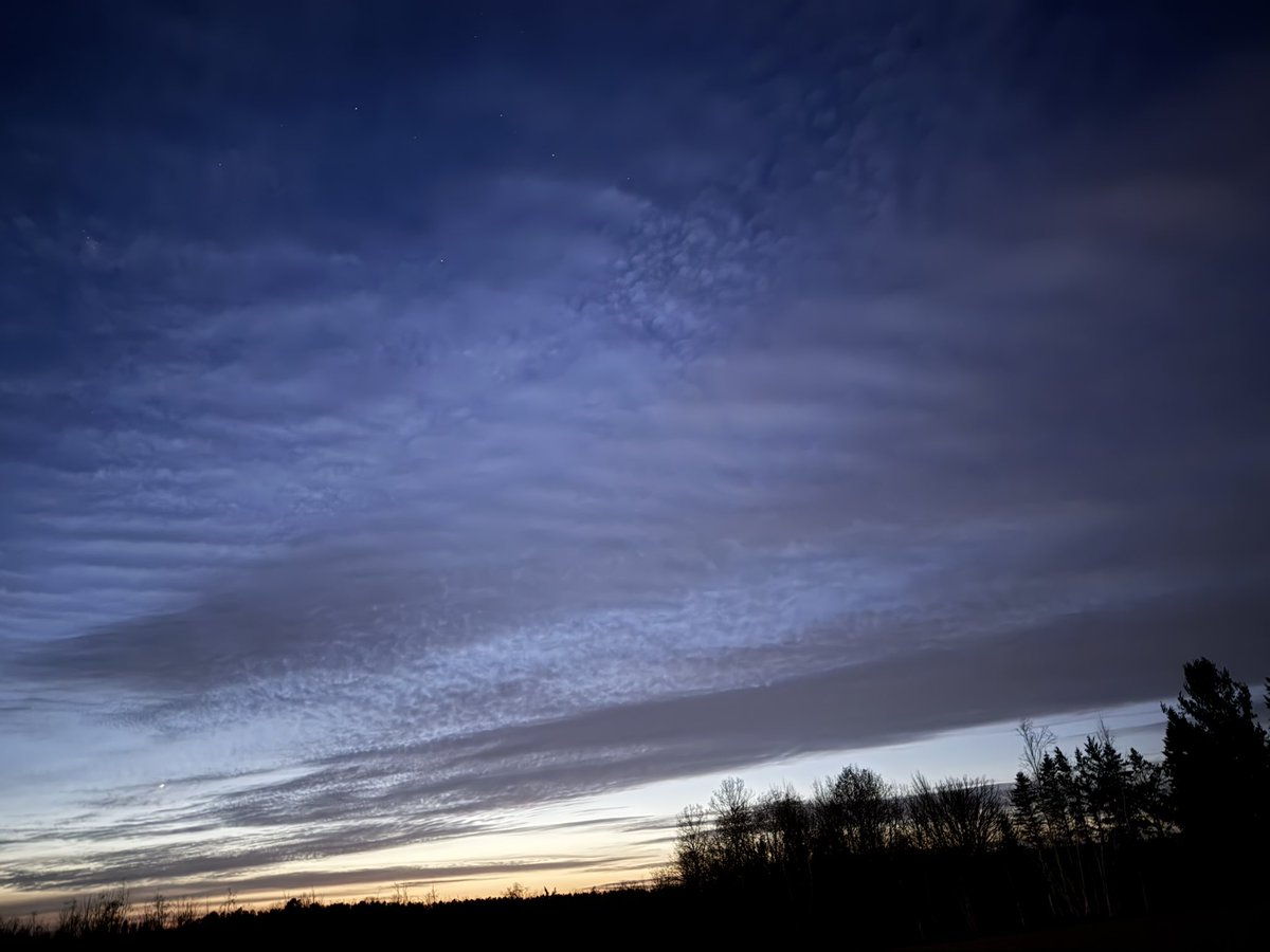 SinBears Deep Dark tweet media