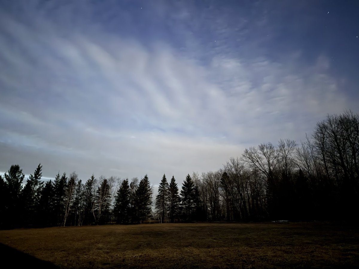 SinBears Deep Dark tweet media