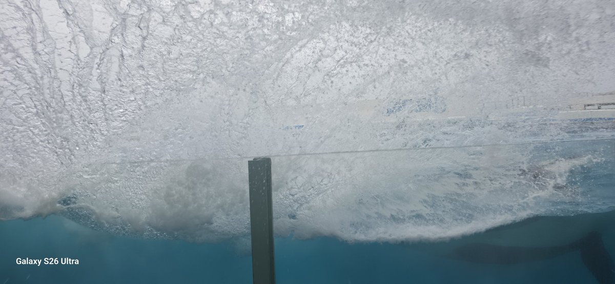 わんぱく@ミカン tweet media