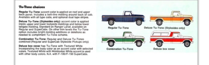 squirrel-there tweet media