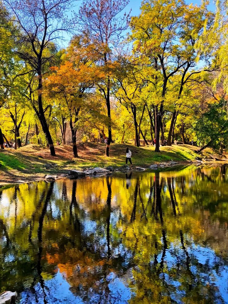 ivan murgo tweet media