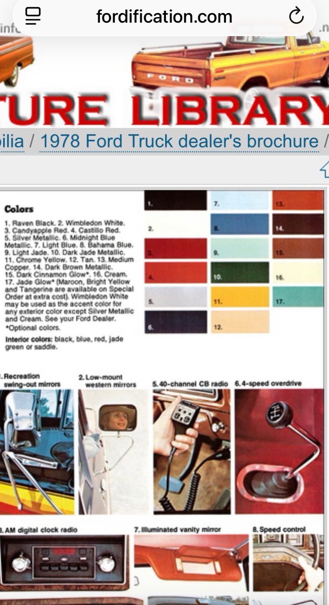 squirrel-there tweet media